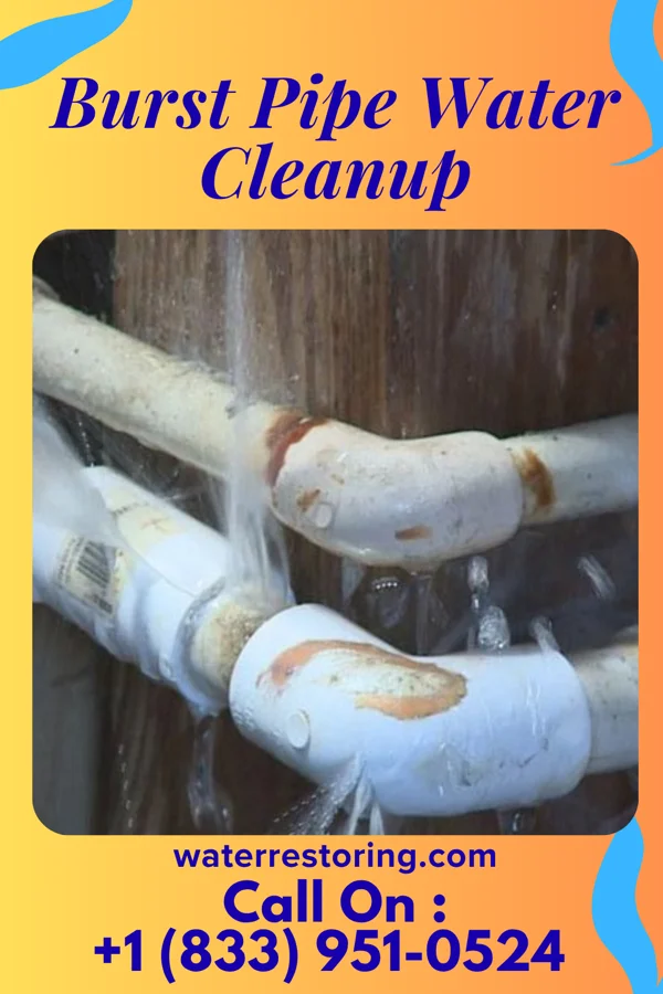 Burst Pipe Water Cleanup in Greeley Center, NE