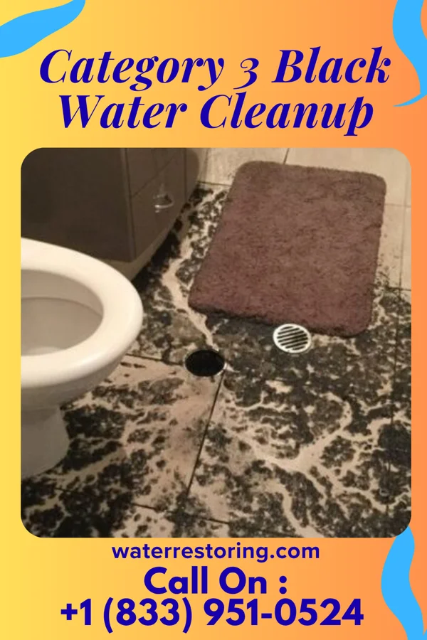 Category 3 Black Water Cleanup in Greeley Center, NE